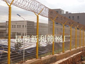 公路护栏网与建筑装饰材料 昆明市新利筛网厂的高品质解决方案
